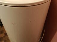 Grajewo ogłoszenia: Pralka Frania ,sprawna ,oznaki rdzy . - zdjęcie